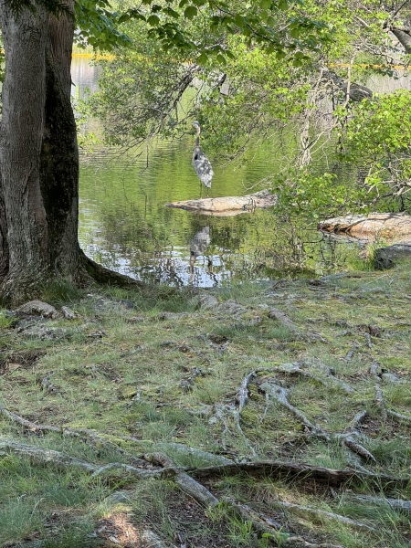 Come and tell me your dull and unexciting news 29: Calmly through the day