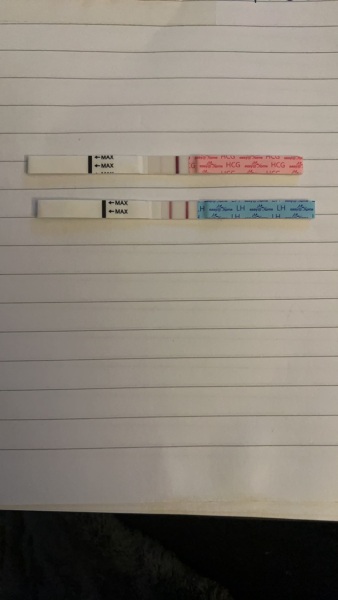 Positive pregnancy test but high LH OPK?
