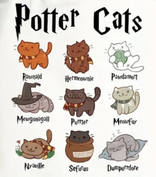 Aston University + gerbil merch thread