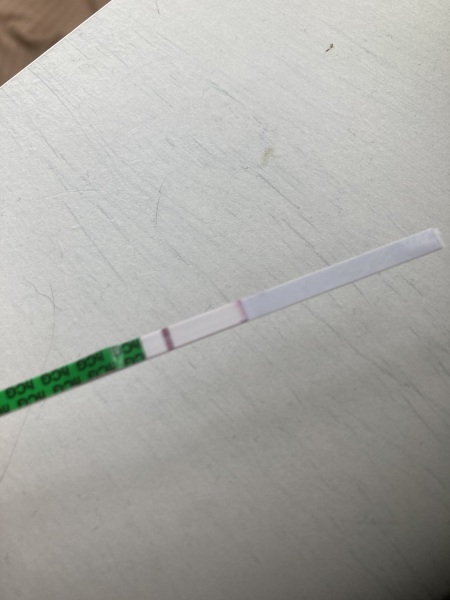 IVF/ICSI May or late April