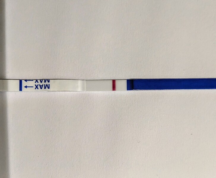 TWW after miscarriage