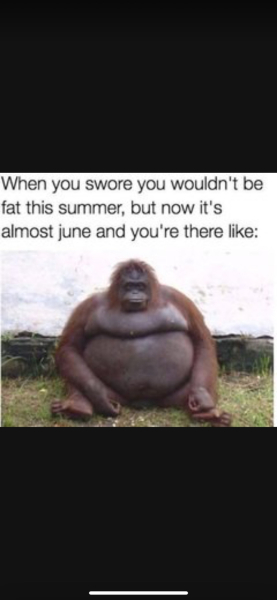 It's happened again, holiday soon and I haven't lost weight