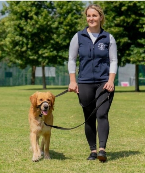 Dog training methods - I've seen it all - how do we know what's right?