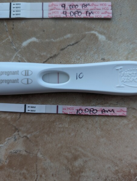 TTC after Early Miscarriage part 3