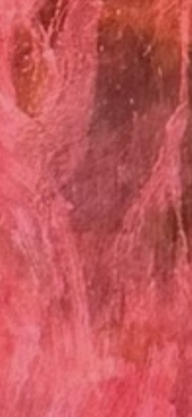 King’s new portrait- I spy edition