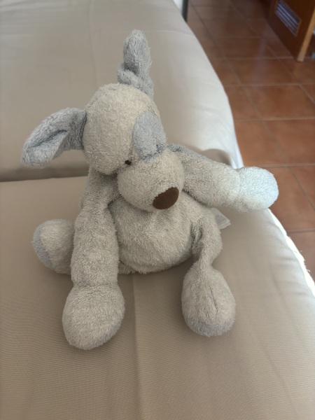 Please help cuddly dog