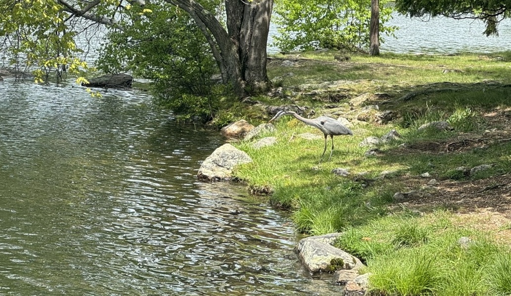 Come and tell me your dull and unexciting news 29: Calmly through the day