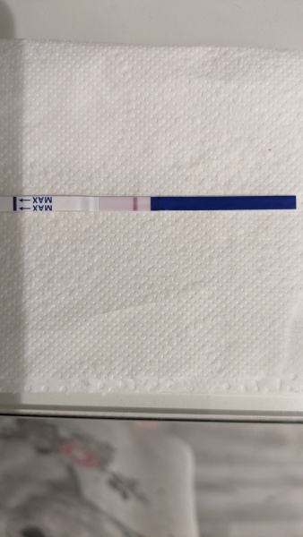 TWW after miscarriage