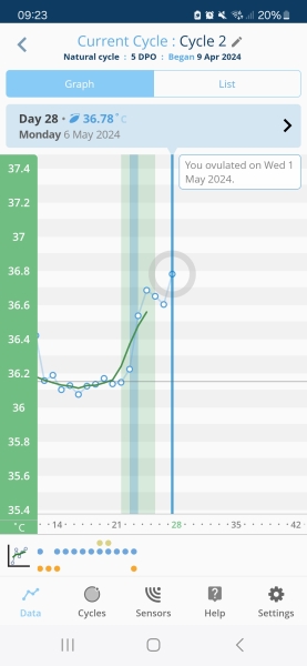 Bbt dip at 4dpo?