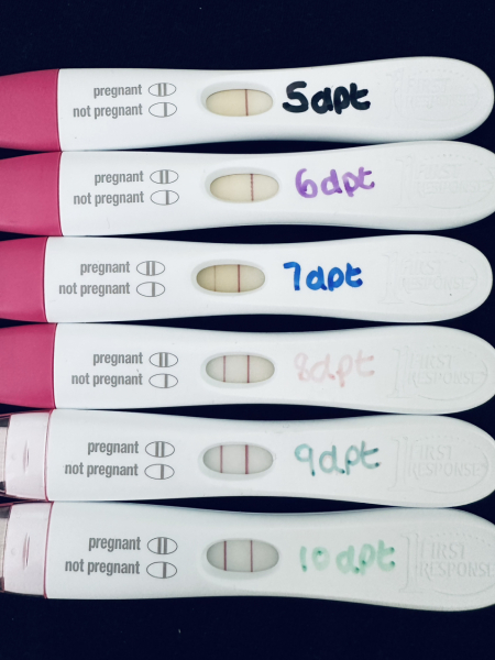 IVF/ICSI May or late April