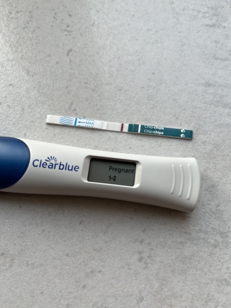 Clear blue test. Evap line or positive