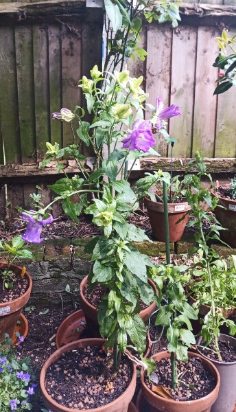 Any Witches here? Part 20