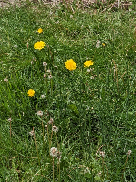 Come and tell me your dull and unexciting news 29: Calmly through the day