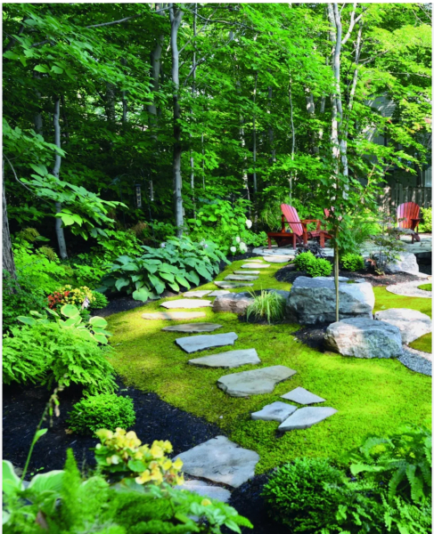 Artificial grass - share experience and where to buy