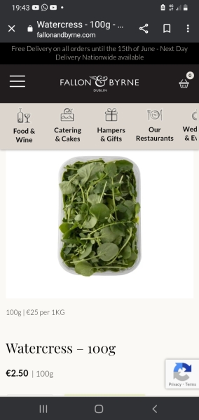 Watercress