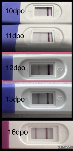 Faint positive at 11dp5dt - anyone had line succession from there?