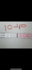 13dpo and worried about progression