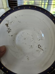 Straight out of the dishwasher!
