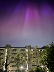 Anyone watching for Northern Lights tonight?