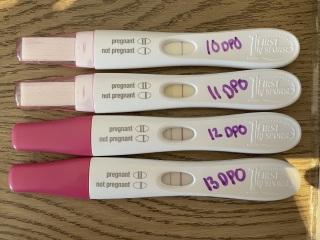 A line eye enthusiast #3