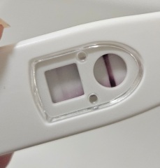 Dye run or bfp?