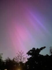 Did you see The Northern Lights (uk) any pictures?