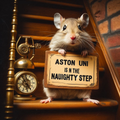 Aston University + gerbil merch thread