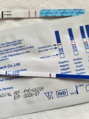 Positive LH test 2 days before period