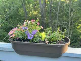 Come and tell me your dull and unexciting news 30: Calmly through the day