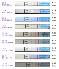 Clearblue digital ovulation