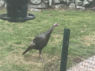 Mumsnet could do better (part deux)