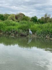 Come and tell me your dull and unexciting news 29: Calmly through the day