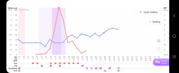 TTC 2024 - New Year Babies