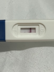 3dpo
