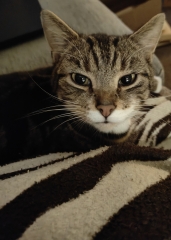 We have lost our boy.