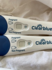Posted on elsewhere but - faint positive on clear blue pregnancy test