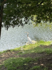 Come and tell me your dull and unexciting news 29: Calmly through the day