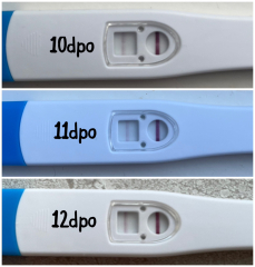 Line progression?