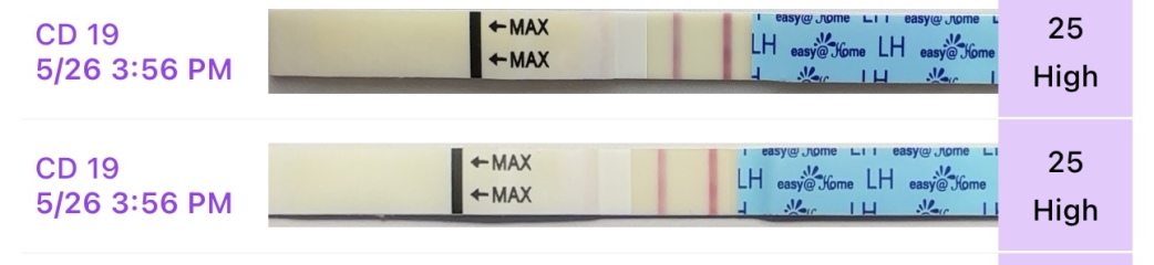 TTC after chemical pregnancy