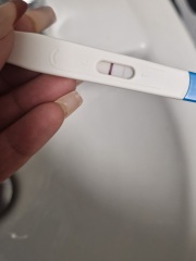 Early signs of twins.