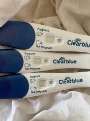 Posted on elsewhere but - faint positive on clear blue pregnancy test