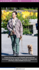 Royal Style - C.Rexing towards summer with hopes for happy days ahead