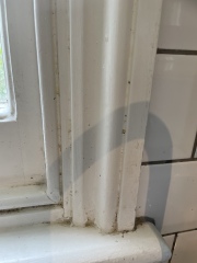 To not payer cleaner