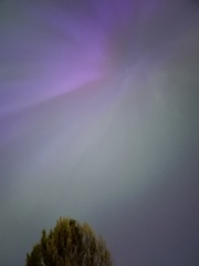 Anyone staying up to try and glimpse the Aurora Borealis?
