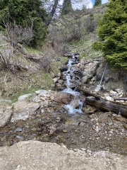 Come chat hiking with me!