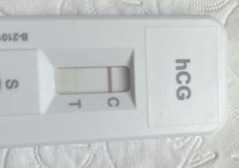 What do you think? 9DPO FMU