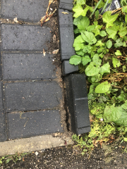 To put spikes in my front driveway flower bed.