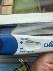 Clear blue evap line