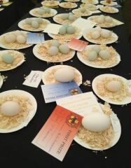 Thread 13 - TalkLair: “I say we take off and nuke the entire site from orbit. It's the only way to be sure.”