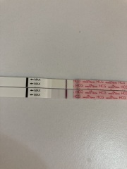 7dpo and keeping busy!